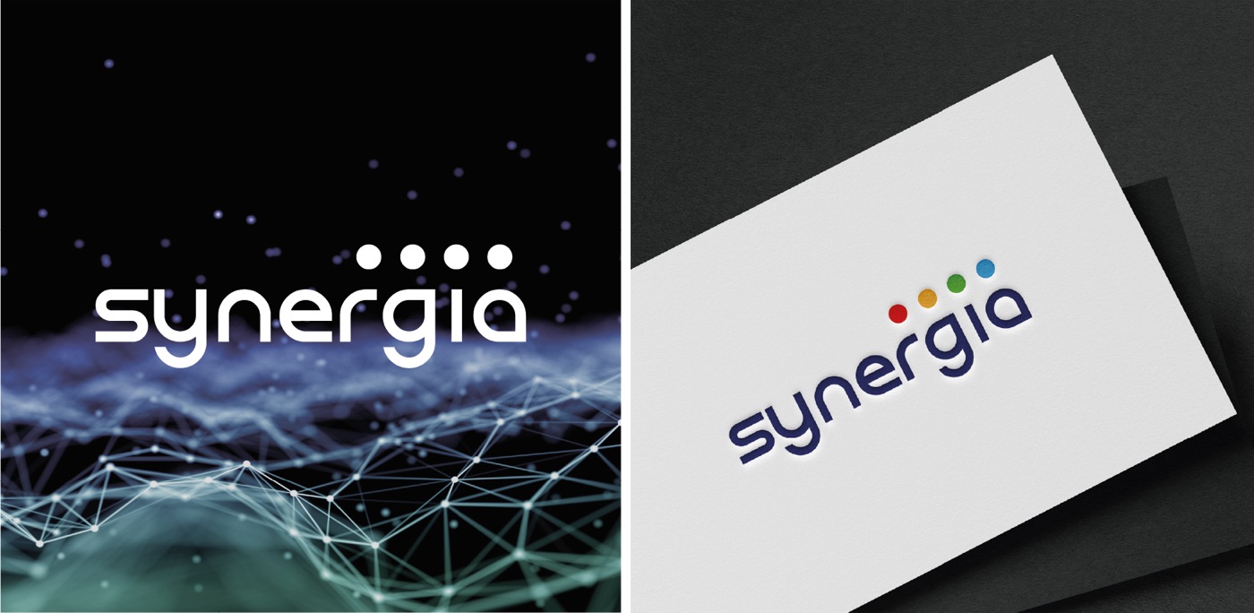 Projekt Synergia